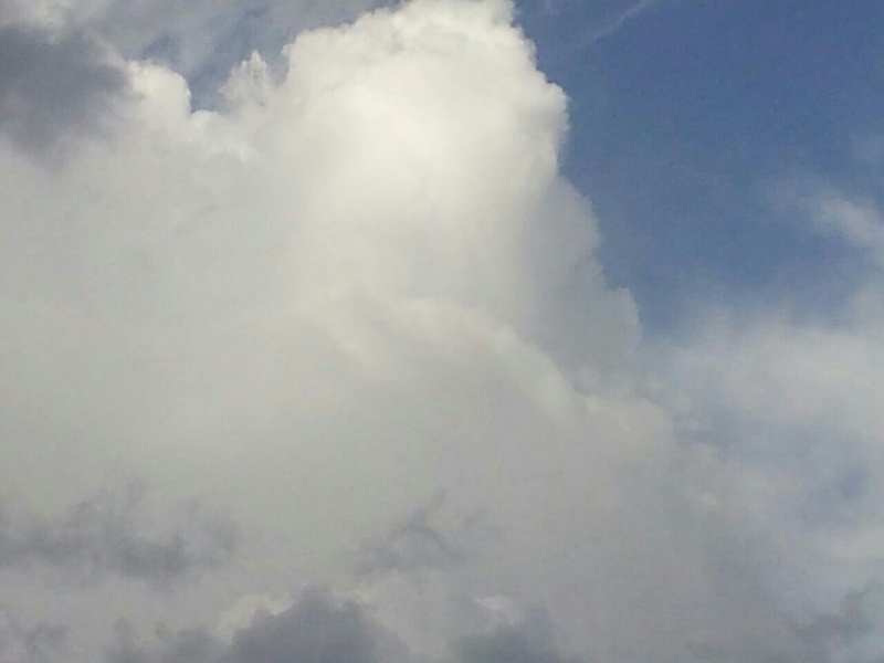     . 

:	uploadfromtaptalk1427311622361.jpg 
:	108 
:	57.1  
:	21226