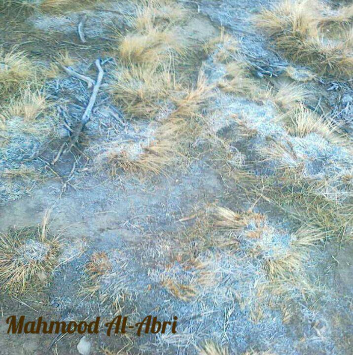 :	uploadfromtaptalk1360836218142.jpg
: 81
:	121.4 