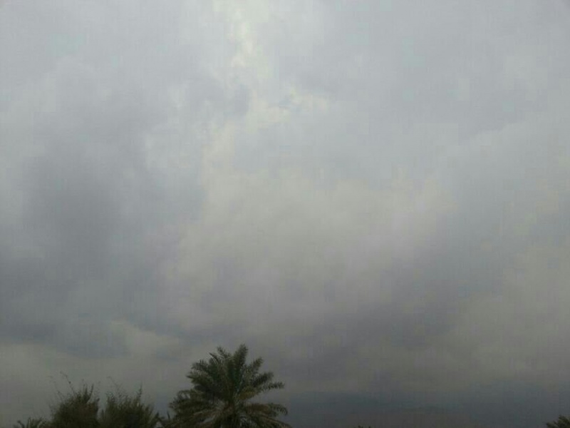     . 

:	uploadfromtaptalk1361354536210.jpg 
:	73 
:	23.7  
:	2152