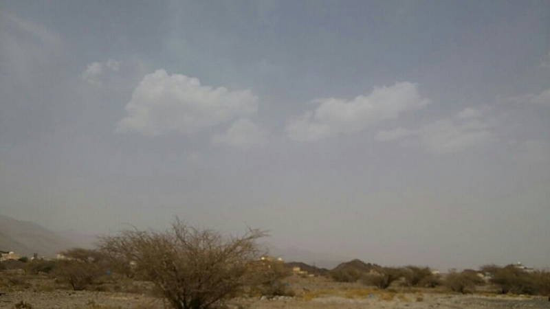     . 

:	uploadfromtaptalk1430733234172.jpg 
:	202 
:	35.0  
:	21639