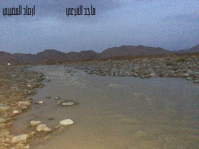     . 

:	uploadfromtaptalk1430943700797.jpg 
:	83 
:	119.3  
:	21771