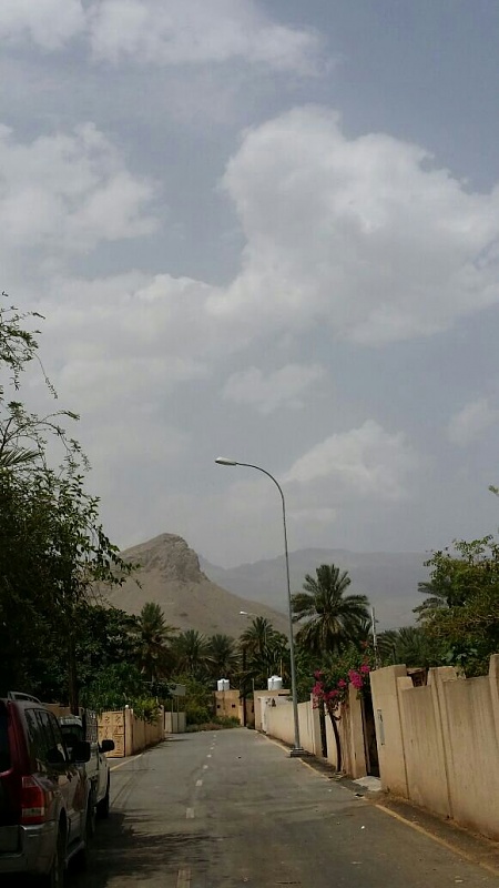     . 

:	uploadfromtaptalk1431253691760.jpg 
:	125 
:	74.1  
:	21836