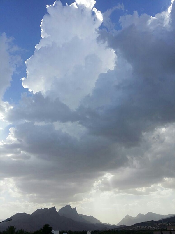     . 

:	uploadfromtaptalk1432468516088.jpg 
:	98 
:	59.2  
:	21941