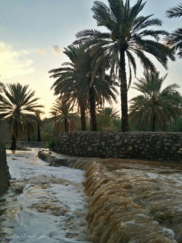     . 

:	uploadfromtaptalk1432480850422.jpg 
:	92 
:	140.2  
:	21959