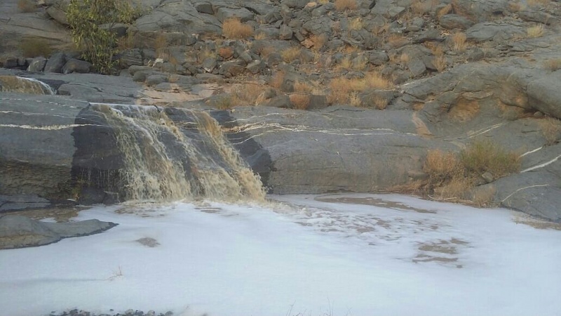     . 

:	uploadfromtaptalk1432483493675.jpg 
:	99 
:	95.7  
:	21984