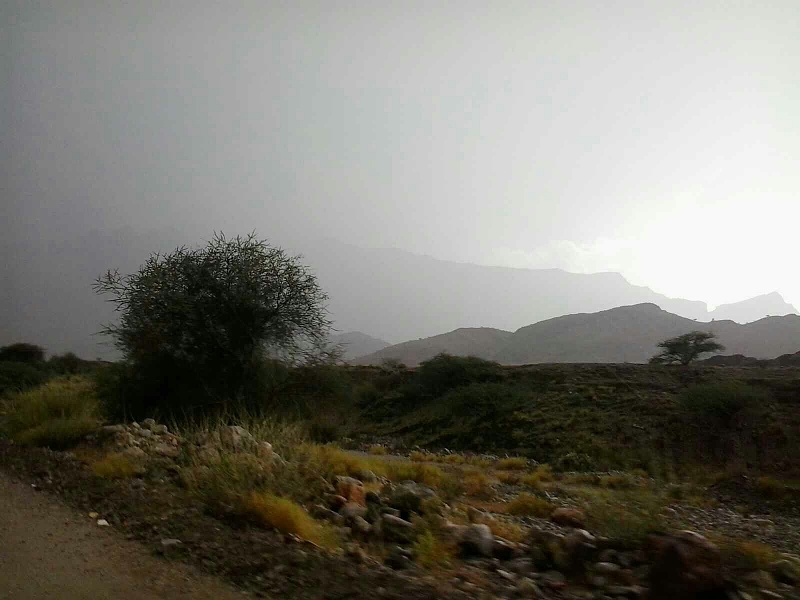     . 

:	uploadfromtaptalk1363086469825.jpg 
:	55 
:	111.0  
:	2203