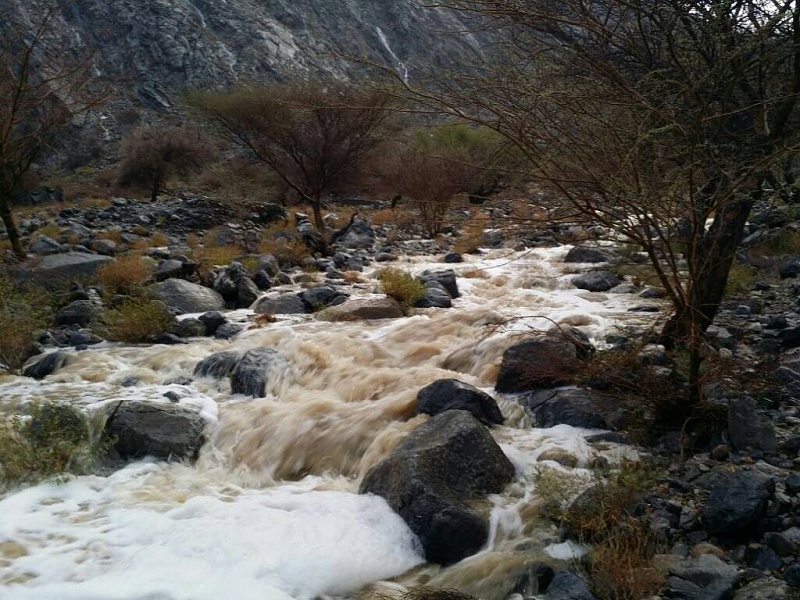     . 

:	uploadfromtaptalk1432567816428.jpg 
:	79 
:	123.9  
:	22073