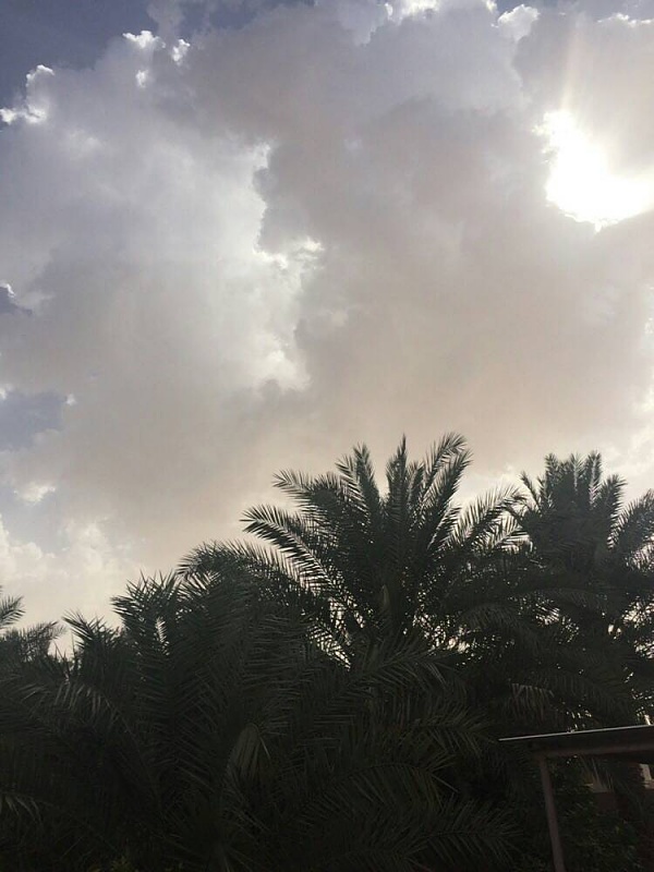     . 

:	uploadfromtaptalk1433333736328.jpg 
:	206 
:	61.1  
:	22126