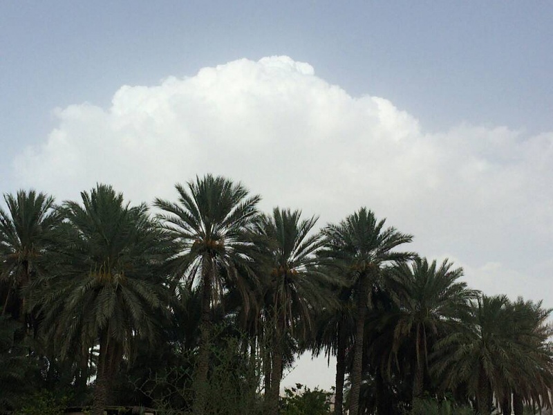 ���� ��� ������ ���� ����.&nbsp;

�����:	uploadfromtaptalk1433422440374.jpg&nbsp;
�������:	166&nbsp;
�����:	71.6 ��������&nbsp;
������:	22156