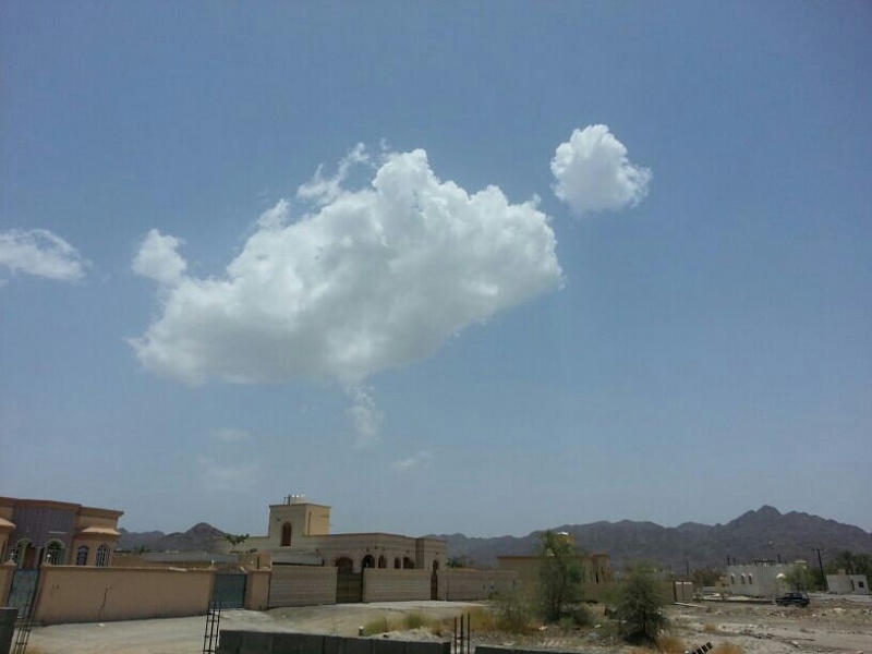     . 

:	uploadfromtaptalk1433577932752.jpg 
:	79 
:	39.4  
:	22292