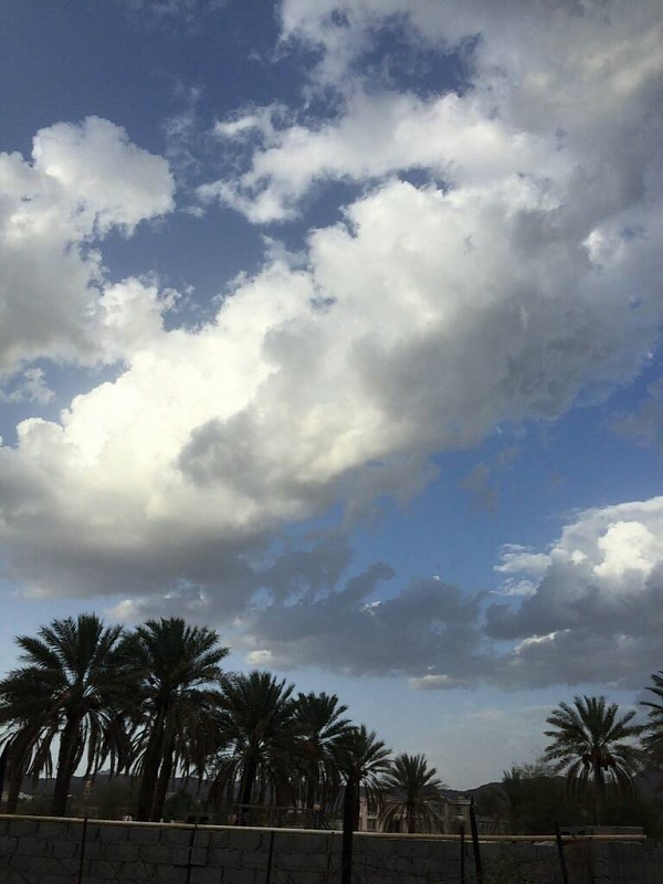     . 

:	uploadfromtaptalk1434376733799.jpg 
:	87 
:	62.4  
:	22843