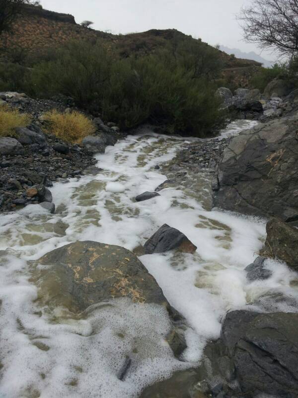 :	uploadfromtaptalk1436806078006.jpg
: 94
:	67.7 