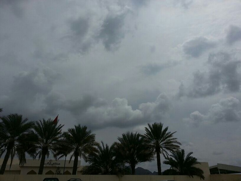     . 

:	uploadfromtaptalk1364196183300.jpg 
:	72 
:	45.7  
:	2439