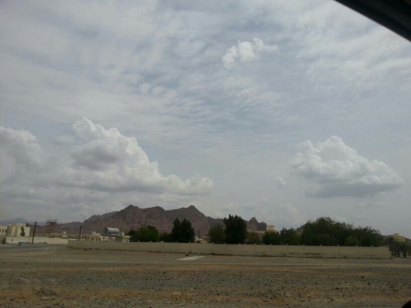     . 

:	uploadfromtaptalk1364202713584.jpg 
:	73 
:	50.6  
:	2443