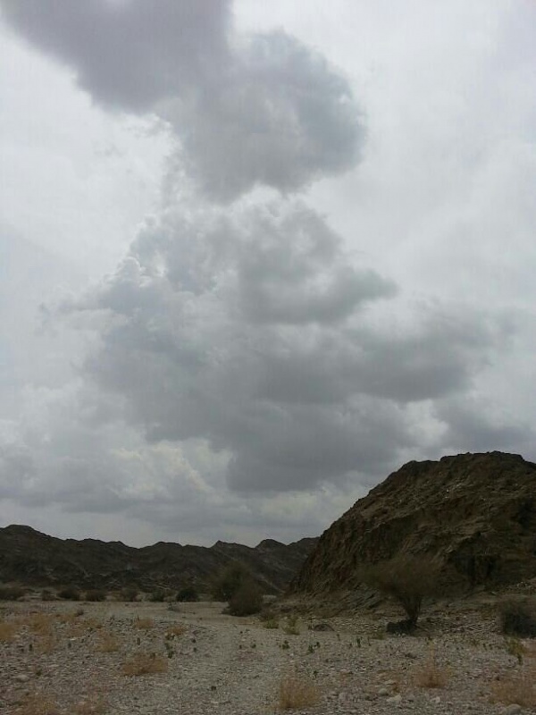     . 

:	uploadfromtaptalk1364202887491.jpg 
:	73 
:	50.1  
:	2447