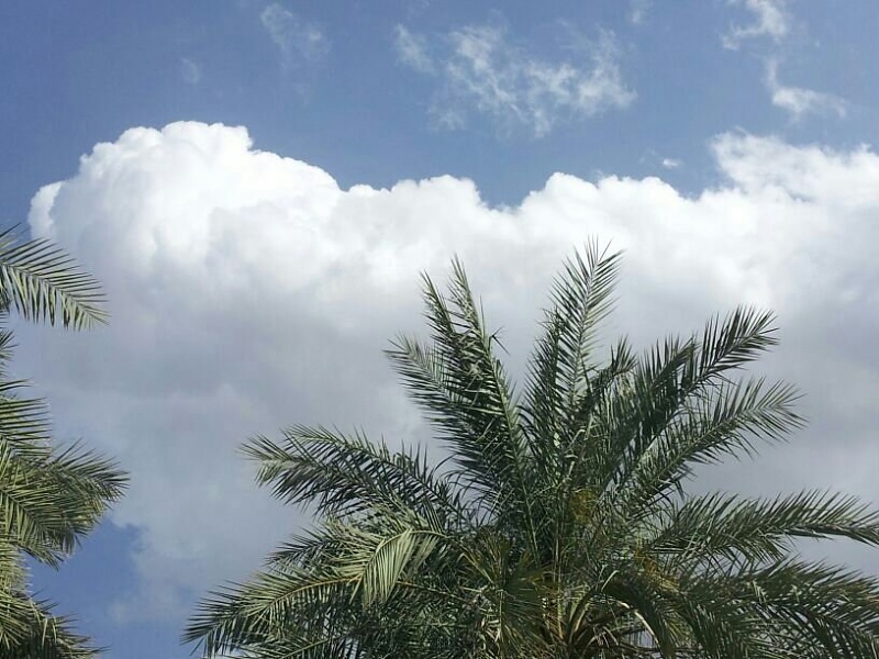     . 

:	uploadfromtaptalk1364297219165.jpg 
:	95 
:	97.4  
:	2546