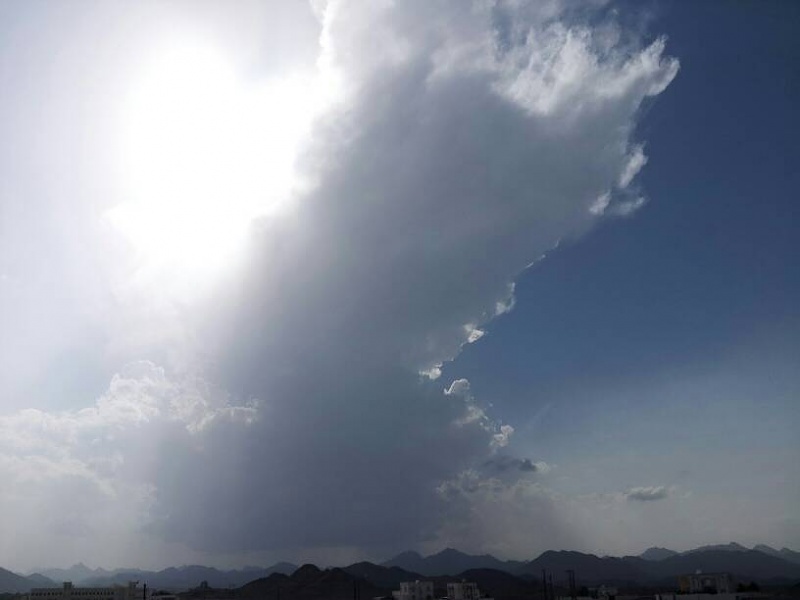     . 

:	uploadfromtaptalk1364298655031.jpg 
:	111 
:	21.3  
:	2548