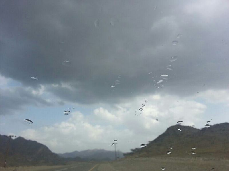     . 

:	uploadfromtaptalk1364298716435.jpg 
:	107 
:	32.1  
:	2549