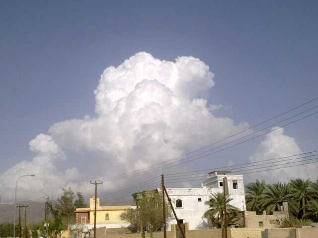 :	ImageUploadedByTapatalk1364301489.605371.jpg
: 36
:	36.4 
