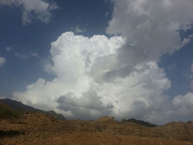 :	ImageUploadedByTapatalk1364302152.608942.jpg
: 33
:	51.2 