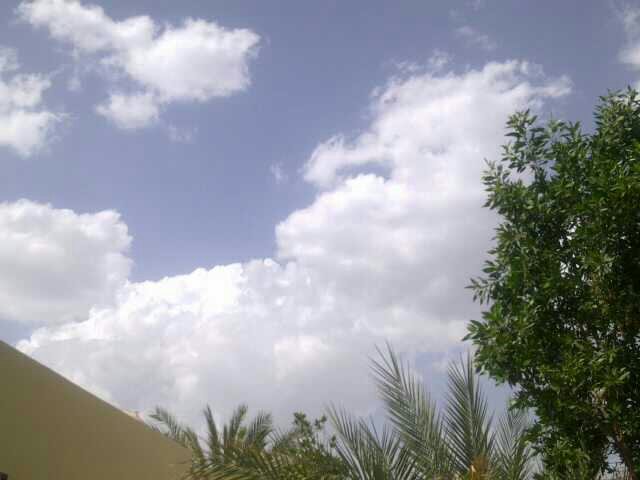 :	uploadfromtaptalk1365158712475.jpg
: 29
:	35.5 