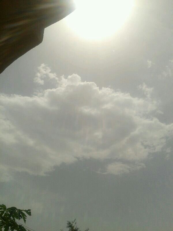 :	uploadfromtaptalk1365242481568.jpg
: 66
:	34.9 