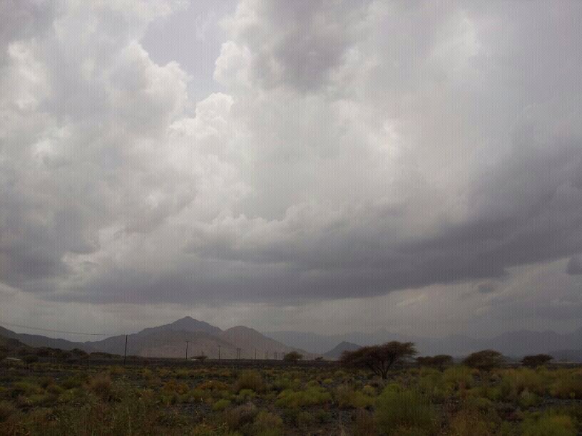 :	uploadfromtaptalk1366964572137.jpg
: 121
:	87.0 