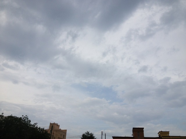 :	ImageUploadedByTapatalk1367151486.667296.jpg
: 225
:	39.8 