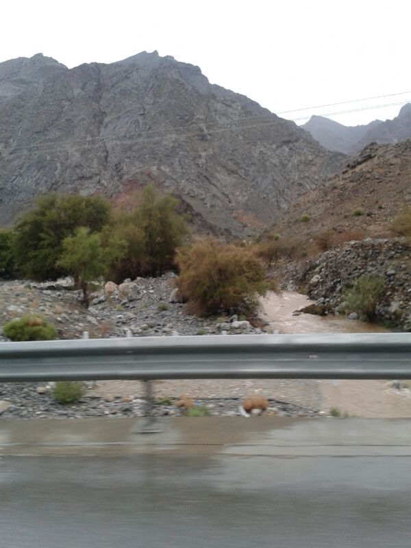 :	IMG-20130429-WA0024.jpg
: 168
:	63.6 