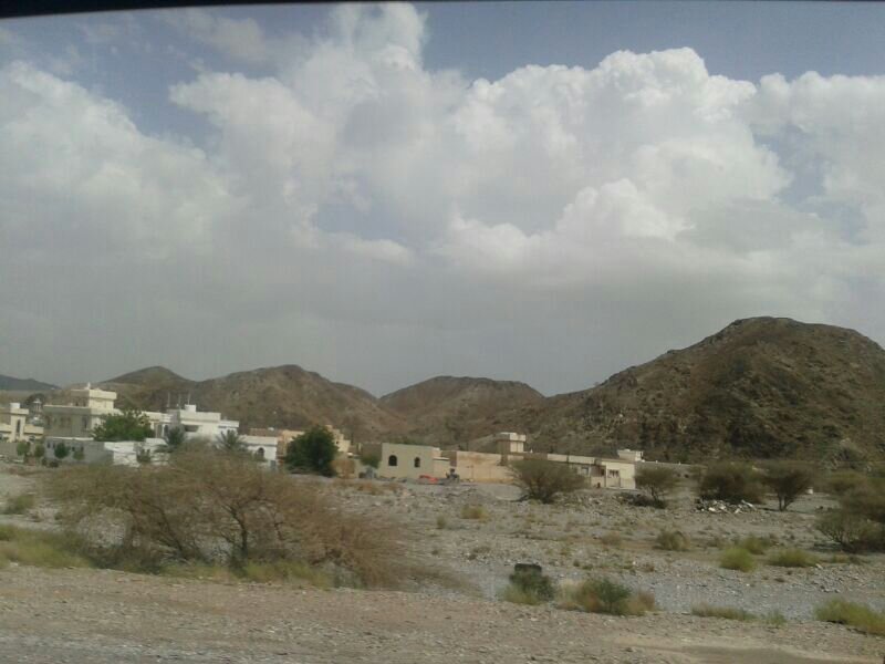 :	uploadfromtaptalk1367316684415.jpg
: 176
:	60.2 