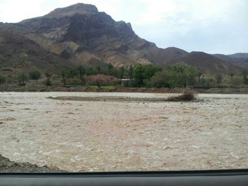 :	uploadfromtaptalk1370087503865.jpg
: 87
:	67.8 