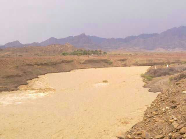 :	uploadfromtaptalk1370092115954.jpg
: 81
:	29.7 