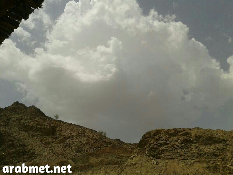 :	uploadfromtaptalk1374316241418.jpg
: 76
:	63.3 