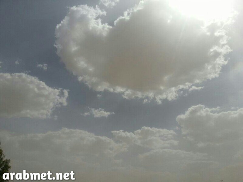 :	uploadfromtaptalk1374318996098.jpg
: 69
:	42.8 
