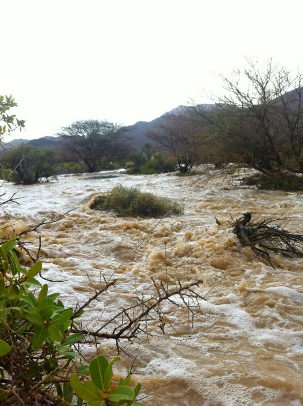 :	uploadfromtaptalk1374496101295.jpg
: 74
:	104.9 