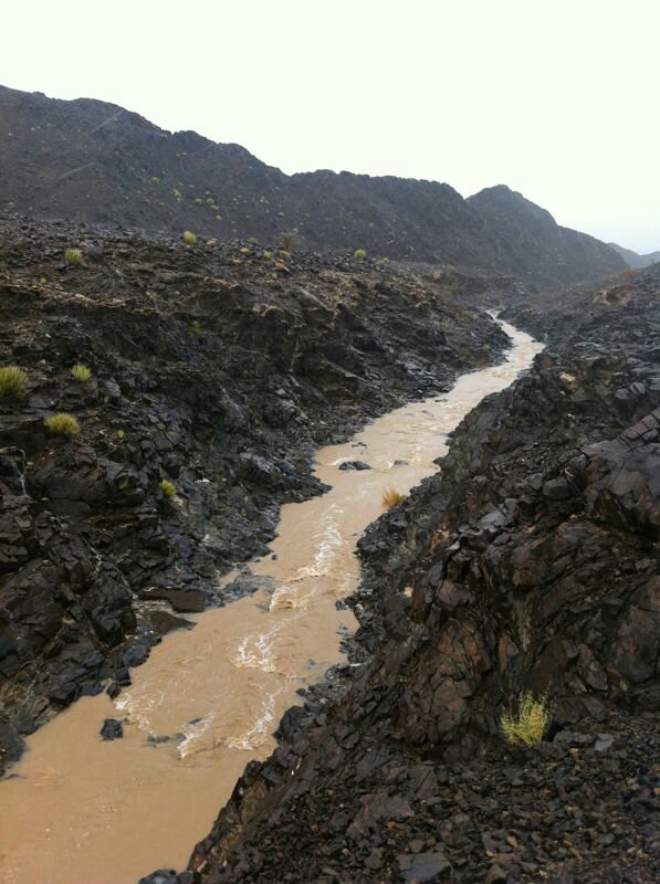 :	uploadfromtaptalk1374496139265.jpg
: 71
:	95.7 