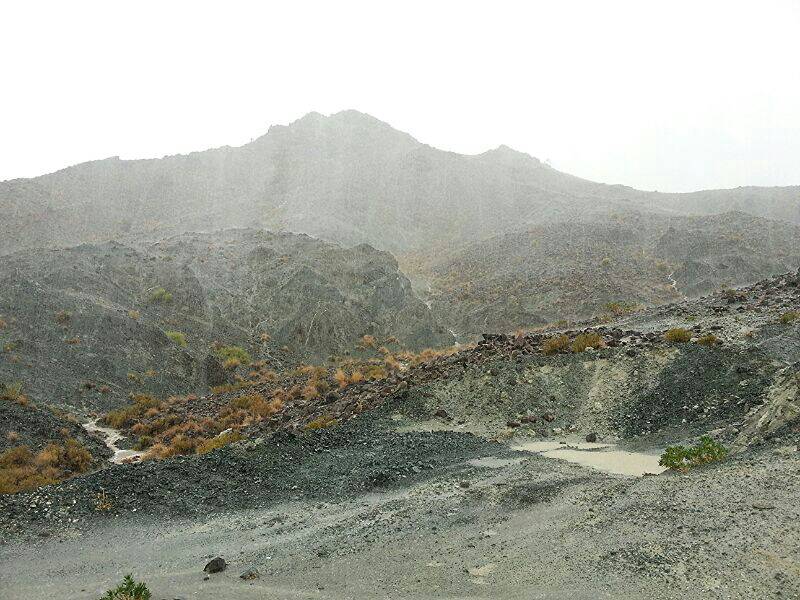 :	uploadfromtaptalk1374520389469.jpg
: 113
:	102.4 