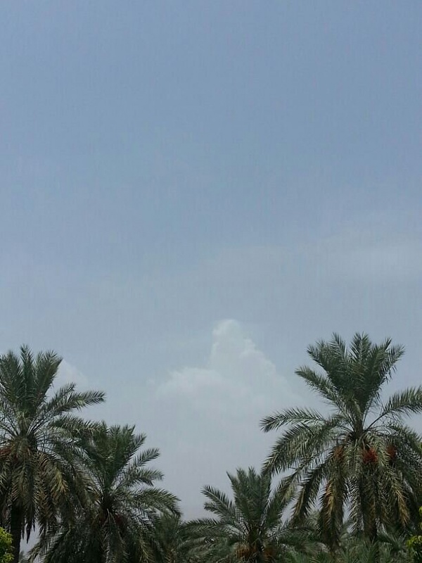     . 

:	uploadfromtaptalk1374571603320.jpg 
:	76 
:	63.5  
:	4494