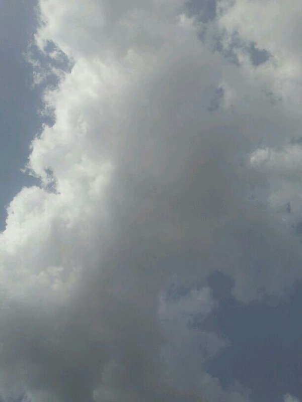     . 

:	uploadfromtaptalk1374754011962.jpg 
:	134 
:	31.0  
:	4587