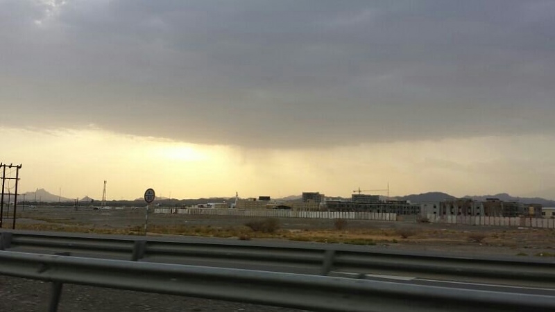     . 

:	uploadfromtaptalk1374847945619.jpg 
:	115 
:	33.6  
:	4599