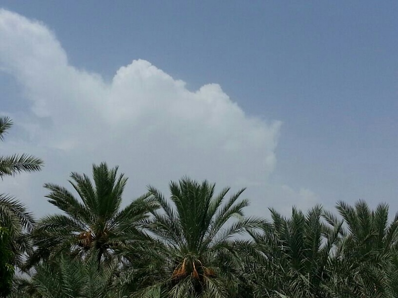     . 

:	uploadfromtaptalk1375006128451.jpg 
:	95 
:	79.9  
:	4627