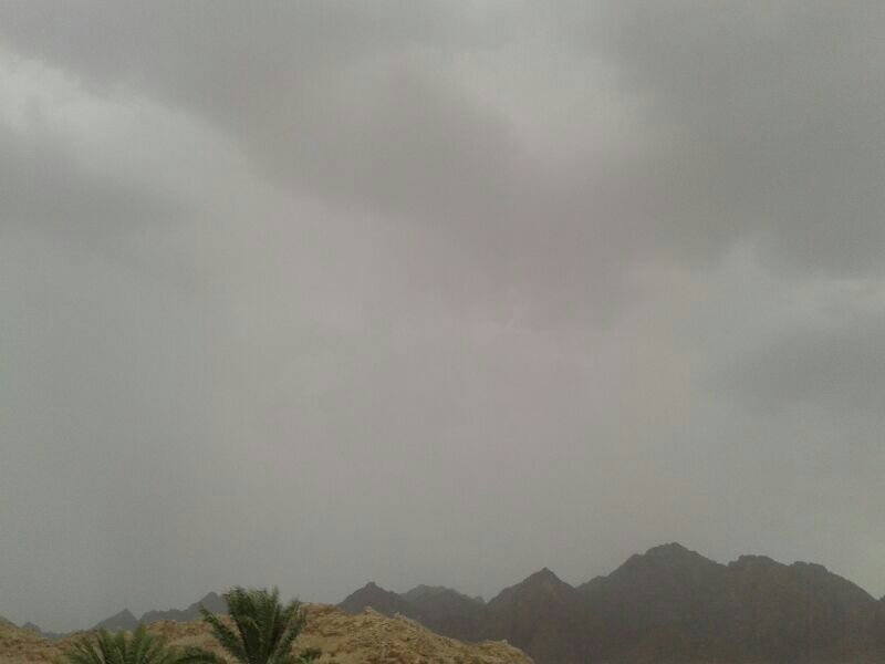 :	uploadfromtaptalk1375006225878.jpg
: 71
:	23.6 