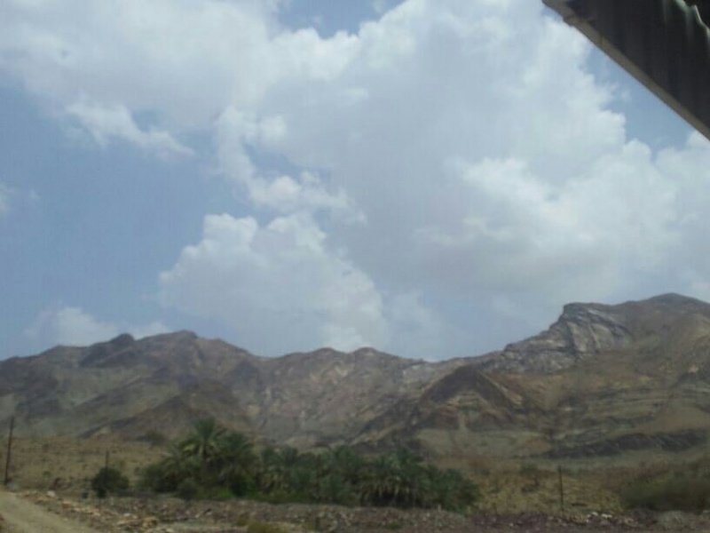     . 

:	uploadfromtaptalk1375780546140.jpg 
:	60 
:	41.0  
:	4859