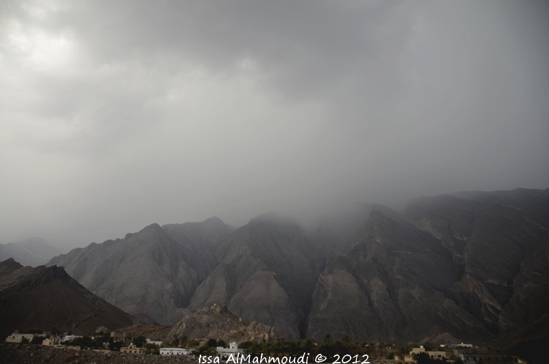 :	_DSC7909.JPG
: 256
:	254.2 