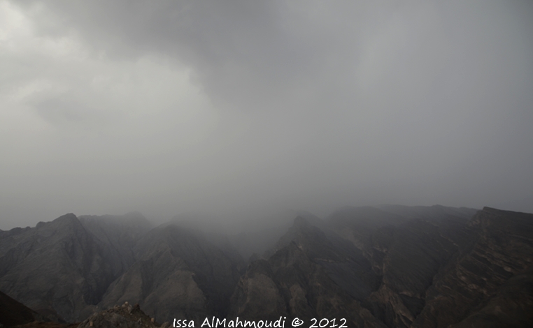 :	_DSC7911.JPG
: 237
:	199.5 