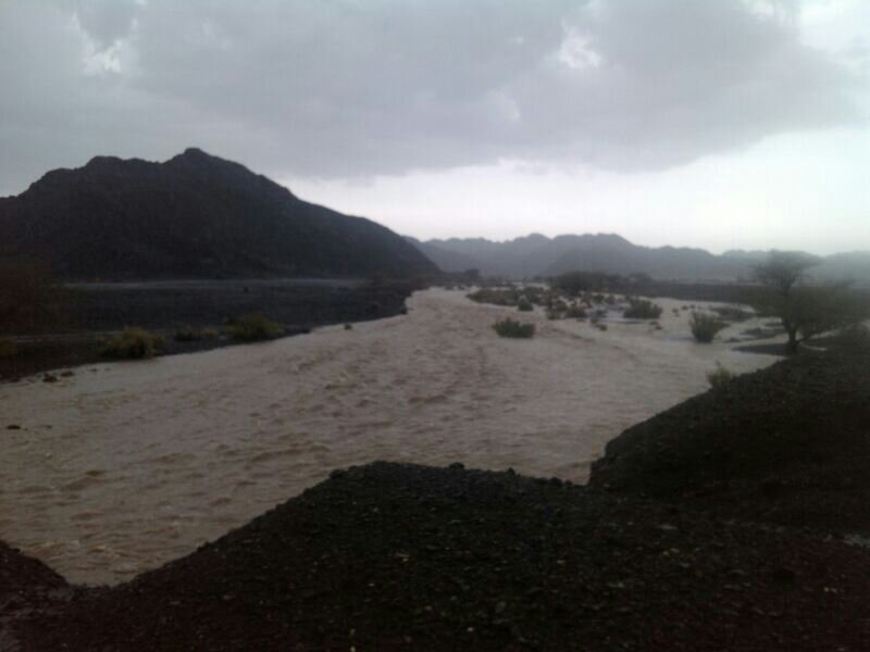 :	uploadfromtaptalk1376052597151.jpg
: 118
:	43.6 