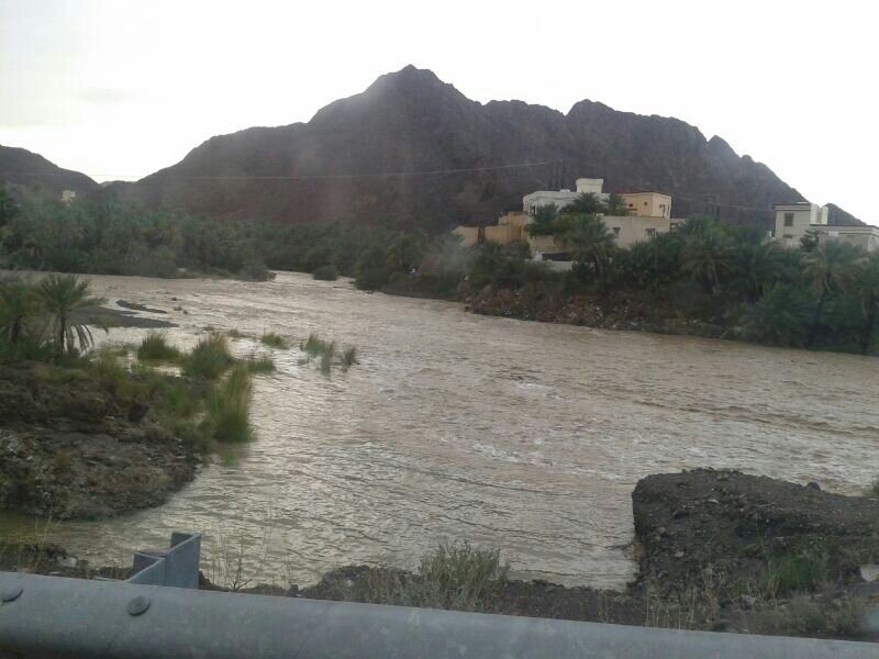 :	uploadfromtaptalk1376054930132.jpg
: 91
:	73.5 