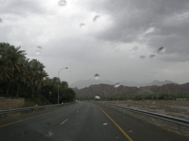 :	Picture 803.jpg
: 59
:	50.3 