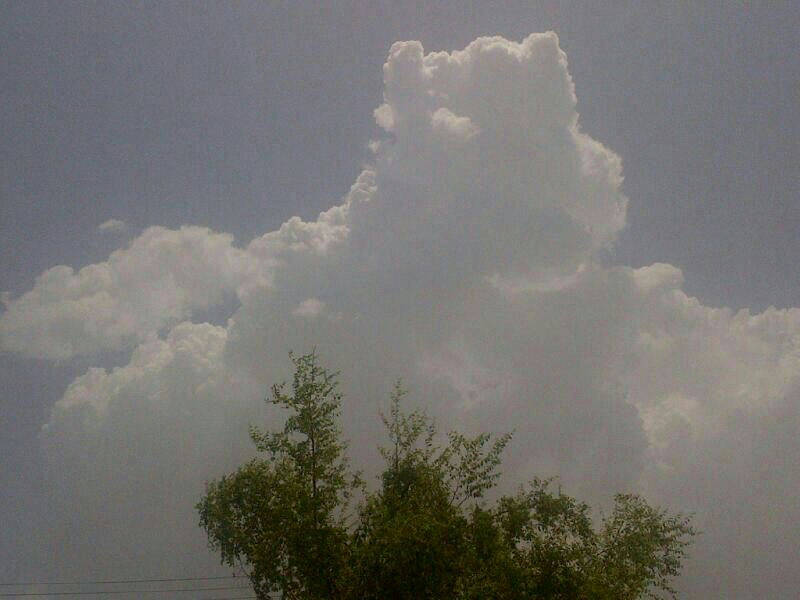 :	uploadfromtaptalk1376209822260.jpg
: 106
:	49.4 