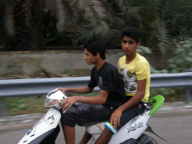 :	Picture 823.jpg
: 163
:	65.0 